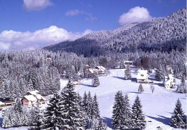 Poiana Brasov, Aparthotel 609,Alpin 외부 사진
